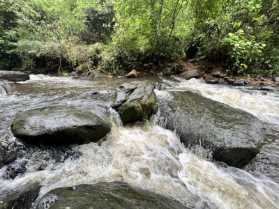 Champawati Waterfall or Chapnalla falls or Champawati Kunda, Nagaon Photo