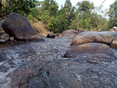 Amrengkona Picnic Spot, Boko Photo