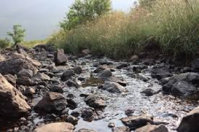 Shankar Gola Forest Reserve Picnic Spot, Bongaigaon Photo