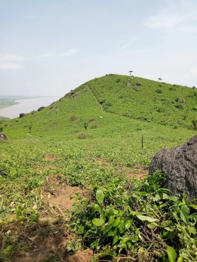 Baghbar Hill or Baghbar Picnic spot, Barpeta Photo