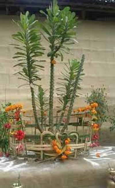 Gwthar Bathou San – Holy Bathou Day Festival Photo