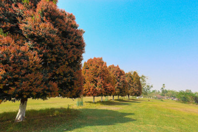 Jorhat Gymkhana Golf Club Photo