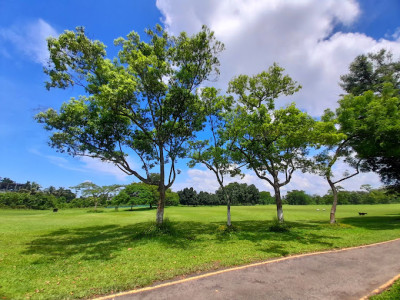Jorhat Gymkhana Golf Club Photo