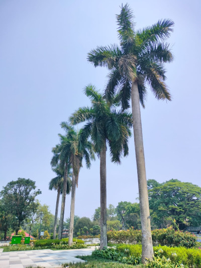 Brahmaputra Riverfront Park Uzan Bazar Photo