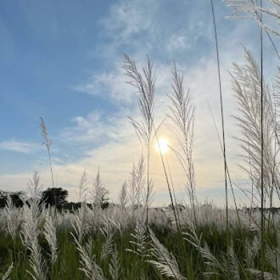 Kohua bon at Dima Hasao Photo