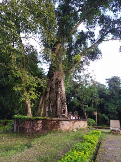 Da Parbatia Temple Tezpur Photo