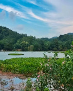 Khamrenga Beel Chandrapur