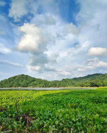 Khamrenga Beel Chandrapur