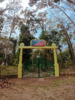 Jokai Reserve Forest, Dibrugarh