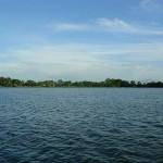 Joysagar Tank Or Joysagar Pukhuri