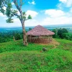 Langkuri Deohal, Charaideo