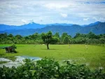 Gerukamukh, Dhemaji - Scenic Subansiri River Destination — Assam wallpaper