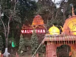 Malini Than