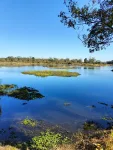 Maijan Lake, Dibrugarh