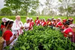 Dibrugarh Tea Garden Journey