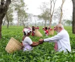 Dibrugarh Tea Garden Journey