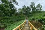 Tipam Village, Dibrugarh