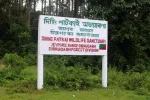 Jeypore Rainforest, Dibrugarh