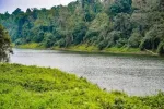 Jeypore Rainforest, Dibrugarh