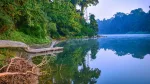 Jeypore Rainforest, Dibrugarh