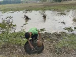 Sasoni Merbil Eco Tourism Park, Dibrugarh - Explore Assam's Island Of Silence — Assam wallpaper