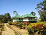 Sasoni Merbil Eco Tourism Park, Dibrugarh - Explore Assam's Island Of Silence — Assam wallpaper