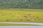 Pushringdi Island Resort And House Boat, Dima Hasao - Floating Island Getaway In Assam — Assam wallpaper