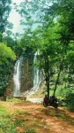 Miyungma Daogah Waterfall, Umrangso