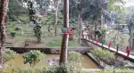 Botanical Garden, Haflong