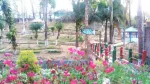 Botanical Garden, Haflong