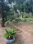 Botanical Garden, Haflong
