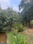 Botanical Garden, Haflong - Peaceful Nature Garden In Dima Hasao — Assam wallpaper