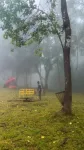 Bamin Hading Orchid Park, Haflong