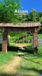 Pancharatna Eco Camp