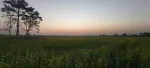Duinoimukh Picnic Spot, Golaghat