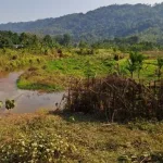 Arlong Ingnar Picnic Spot