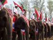 Elephant festival at Kaziranga National Park Elephant festival at Kaziranga National Park