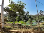 Chaopha Sukafa Park, Jorhat