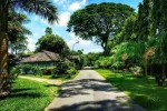 Tocklai Tea Research Institute, Jorhat