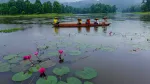 Chandubi Lake - Tourist Attractions, Boating, Homestays And Travel Guide — Assam wallpaper