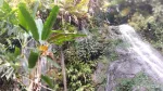 Kafandonga Waterfall