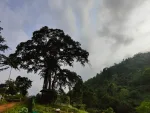 Garoghuli Waterfall, Guwahati - Location And Travel Guide — Assam wallpaper