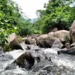 Kopili Rani Guwahati