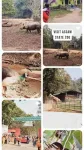 Guwahati Zoo