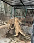Guwahati Zoo