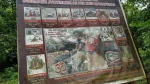 Bhimeswar Dham Guwahati - History, Timings And How To Reach — Assam wallpaper
