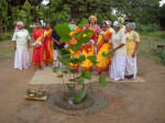 Karam Puja Photo Karam Puja Photo