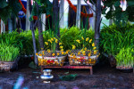 Karam Puja Photo Karam Puja Photo