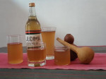 Judima Festival Photo Judima Festival Photo