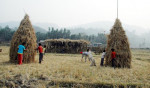 Magh Bihu Or Bhogali Bihu